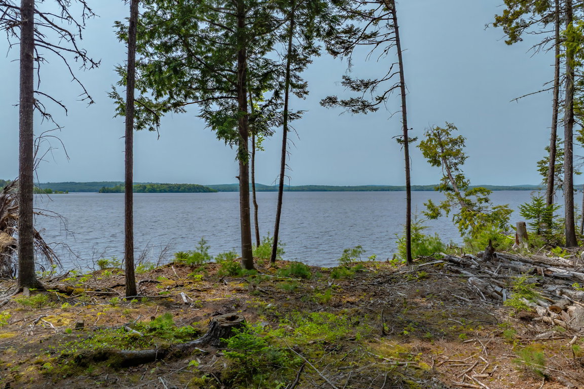 Shoreland View of Lake