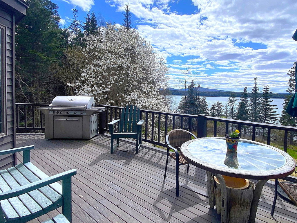 29 Loons Call  Winter Harbor