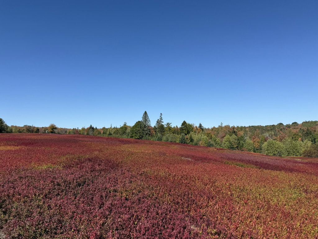 MAP 31 LOT 29