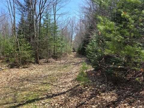 Lot 26-1 Old County Road West Paris