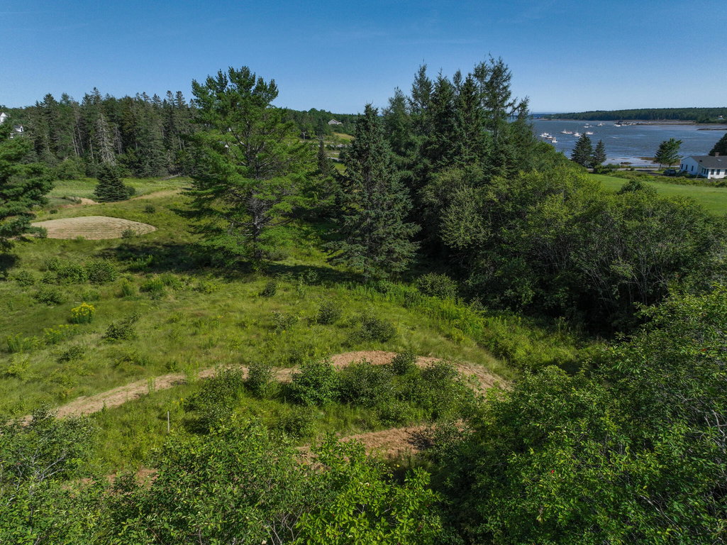 DJI_0858