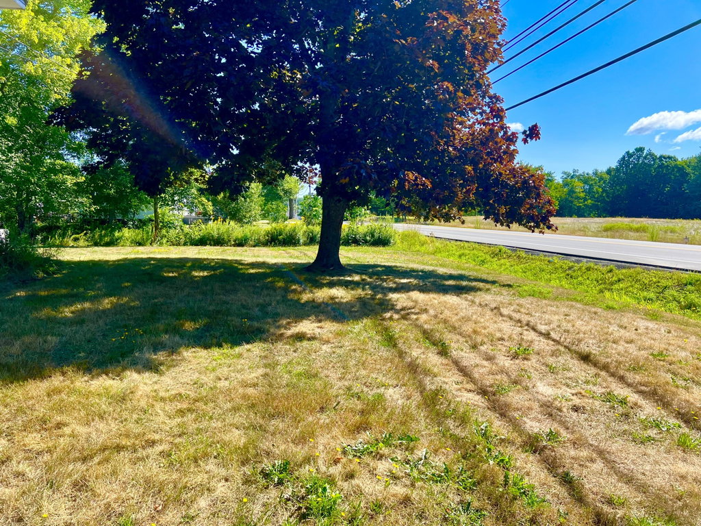 Front yard