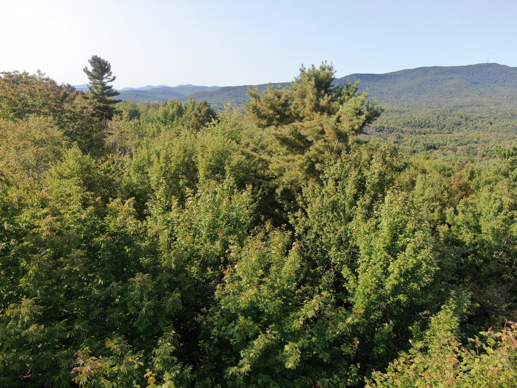 Lot# 55 Arlines Way Woodstock