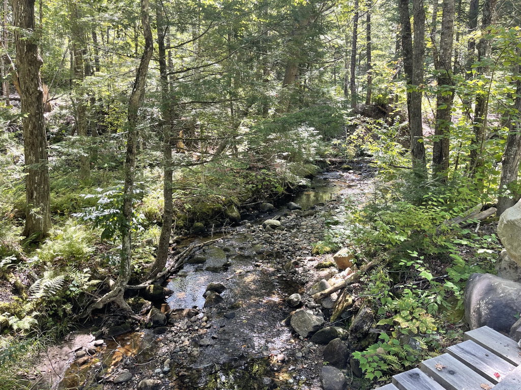 Lot 27-001 Coburn Brook Road Rumford