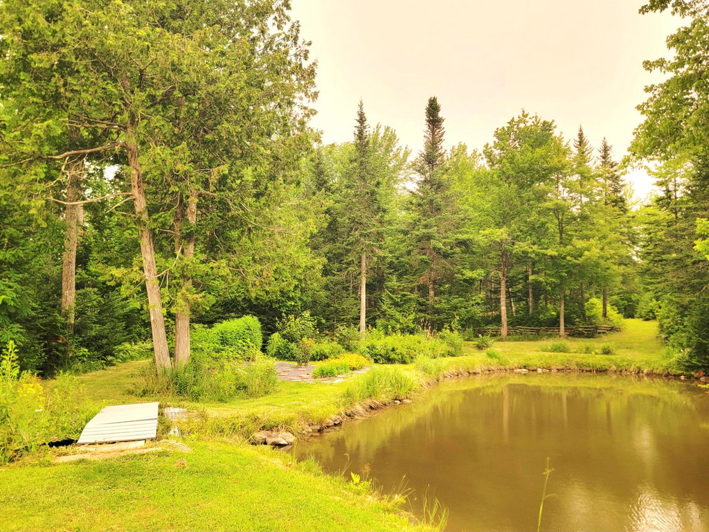 Farm Pond