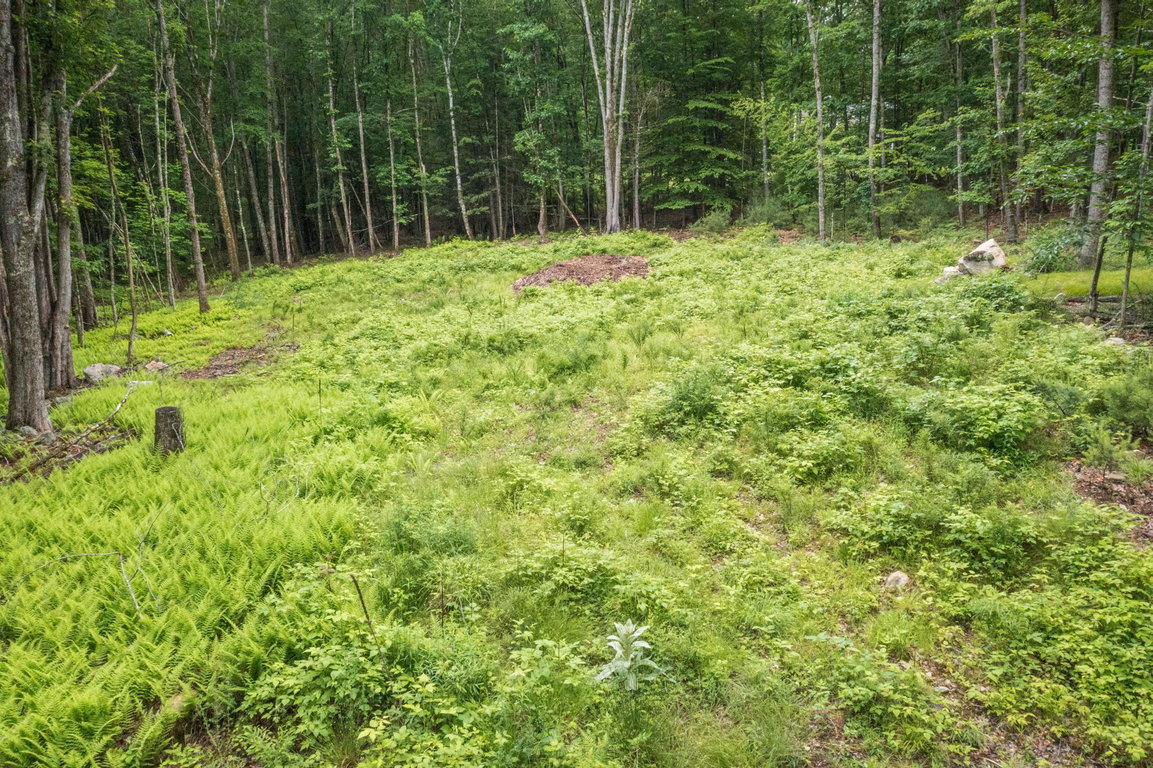 Lot 5 Stonecrop Farm Lane Eliot