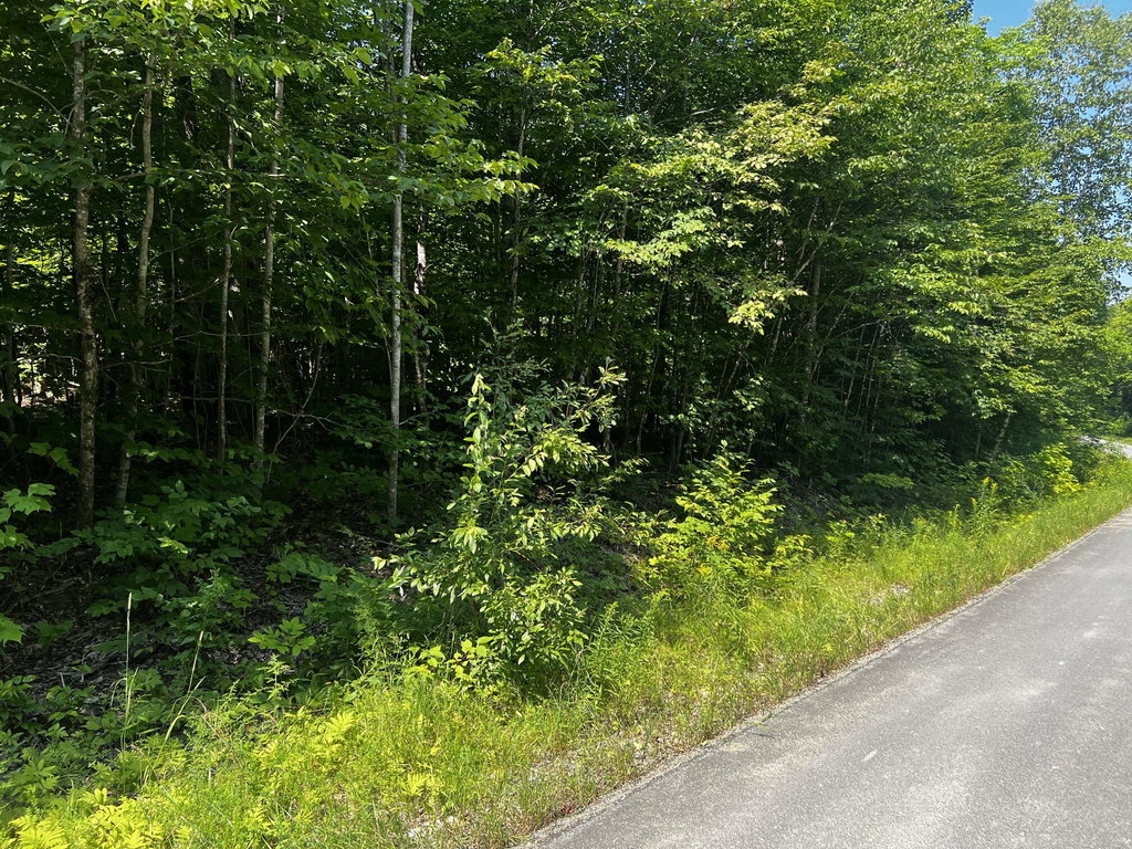 Lot  14-4 Baker Ridge Road Danforth