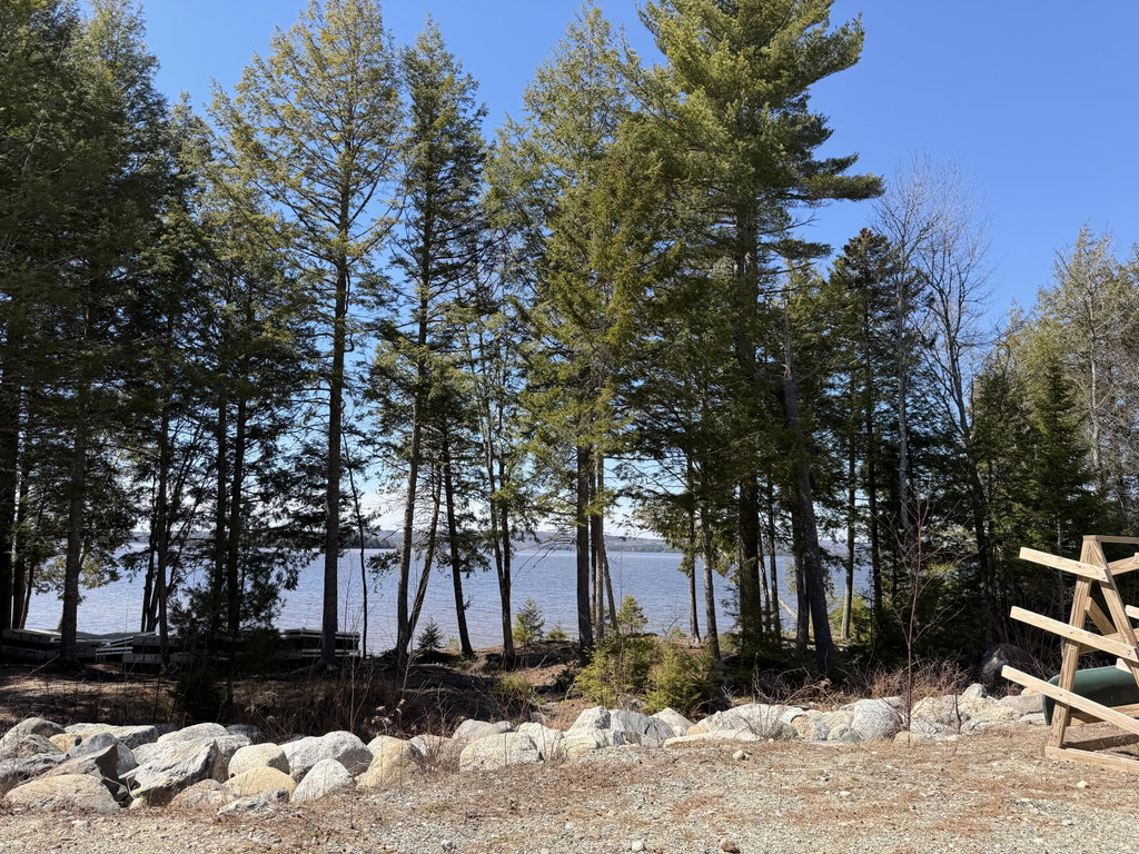 View from Common Area