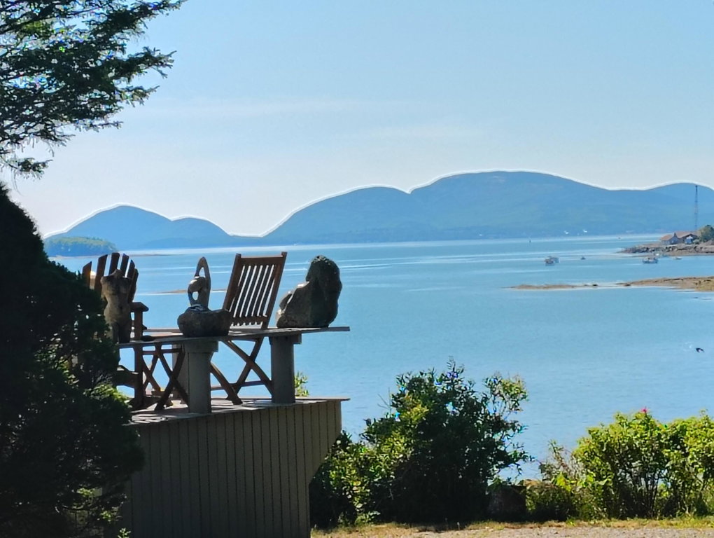 PART OF VIEW FROM DECK