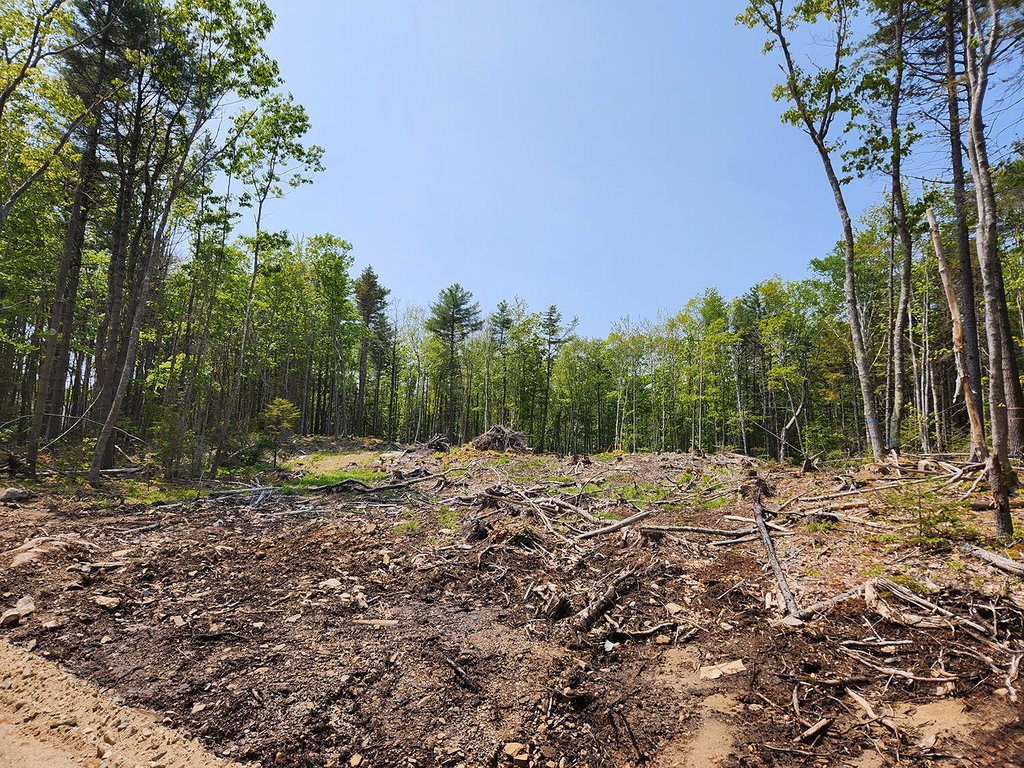 Lot 2 Woodland Drive Kennebunkport
