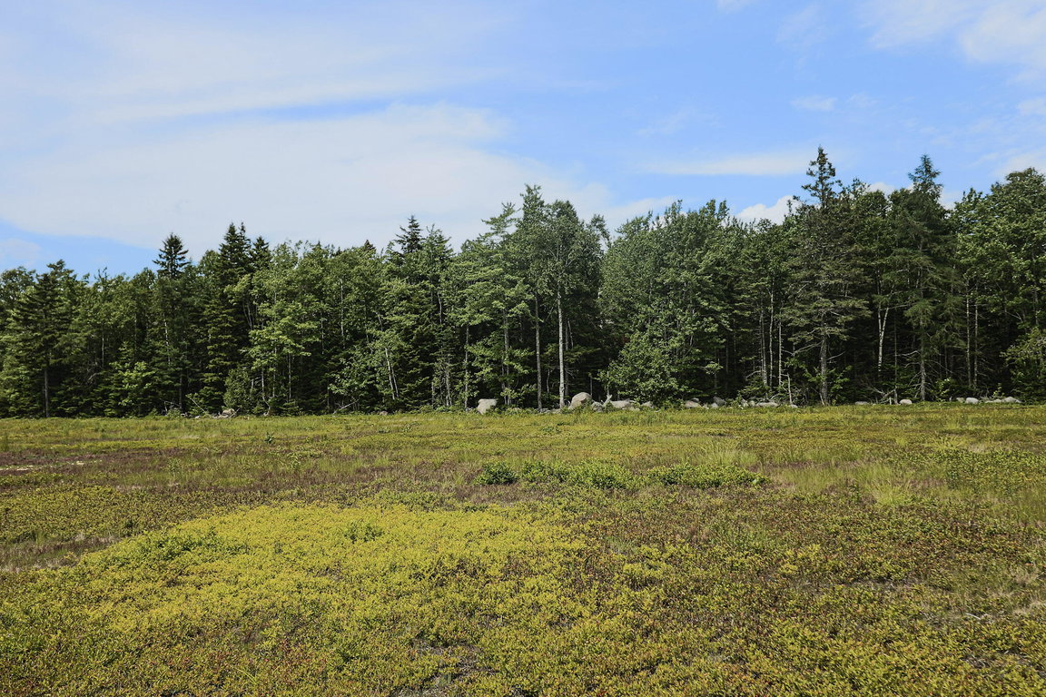 Lot 9