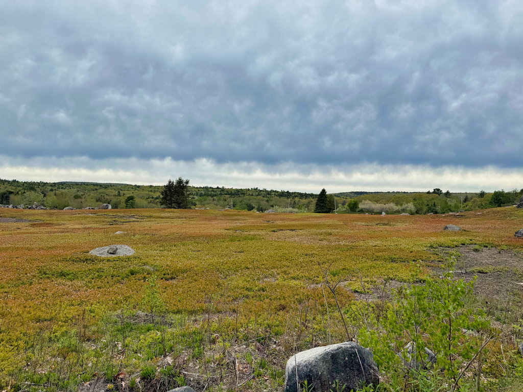 519SnowsCove_015