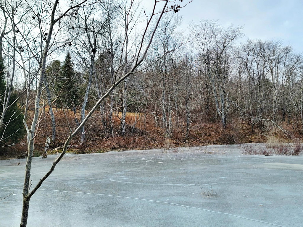 Mill Pond