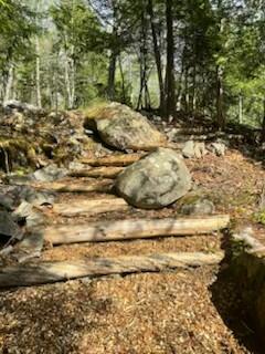 IMG_4933 (1)