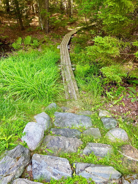 Walking Path
