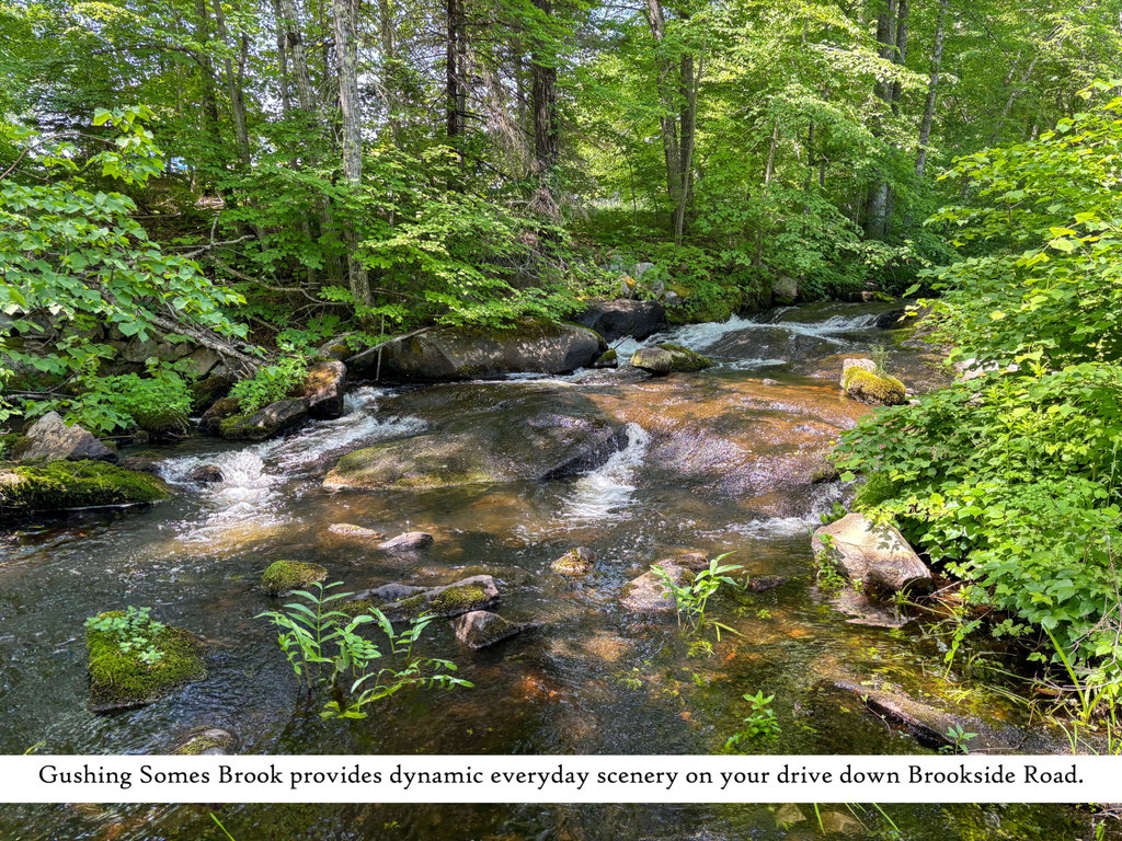 Somes Brook (2), label