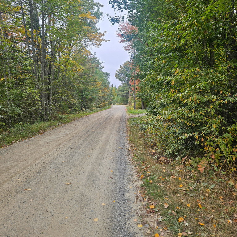 206 Morrison Farm Road Mariaville