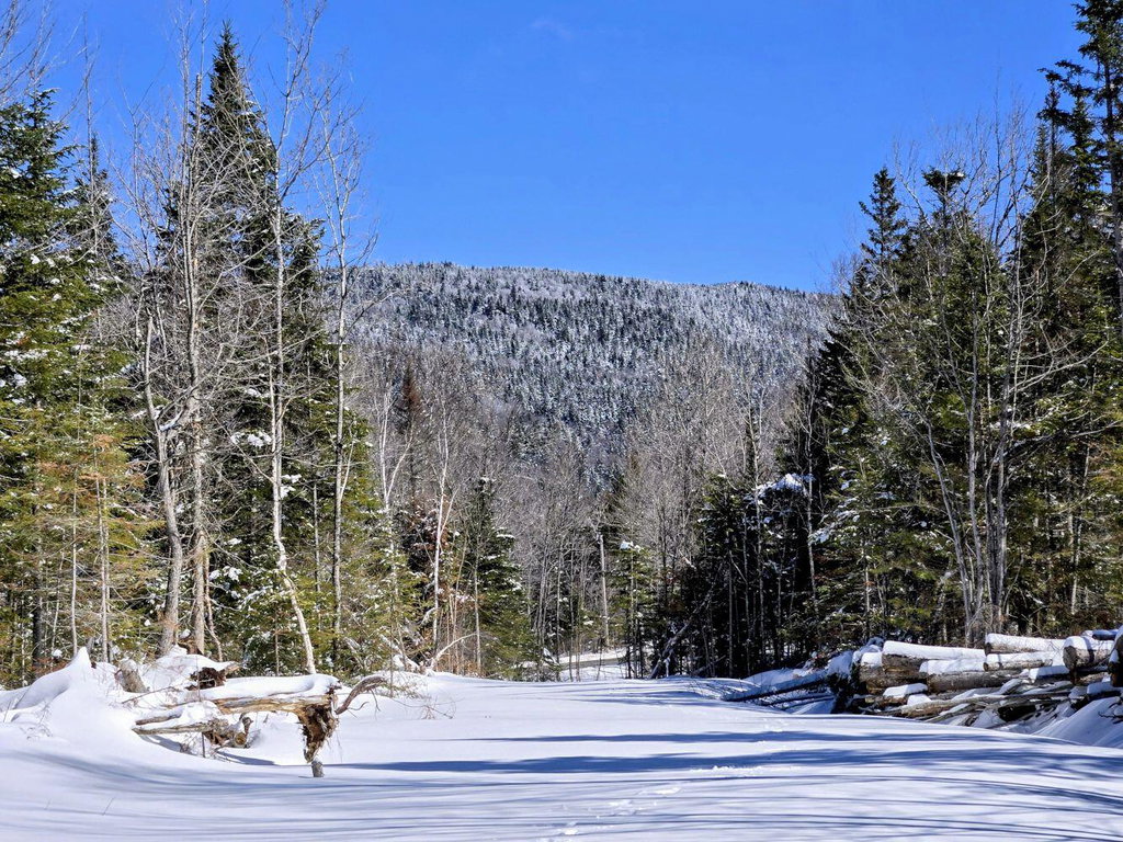Lot 1 Main Street Sandy River Plt