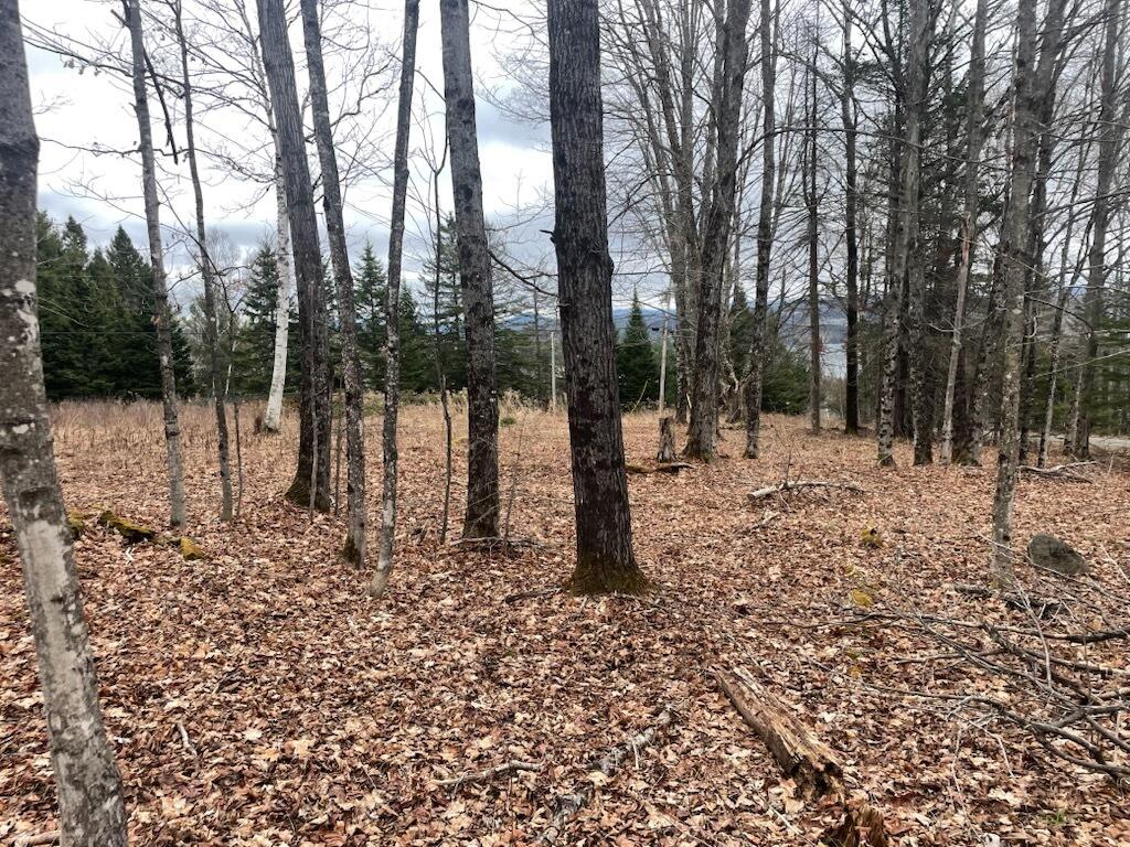 M7L67-11 Amber Road Rangeley
