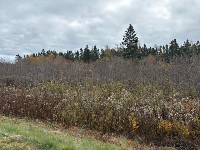 0 Boot Cove Road Lubec