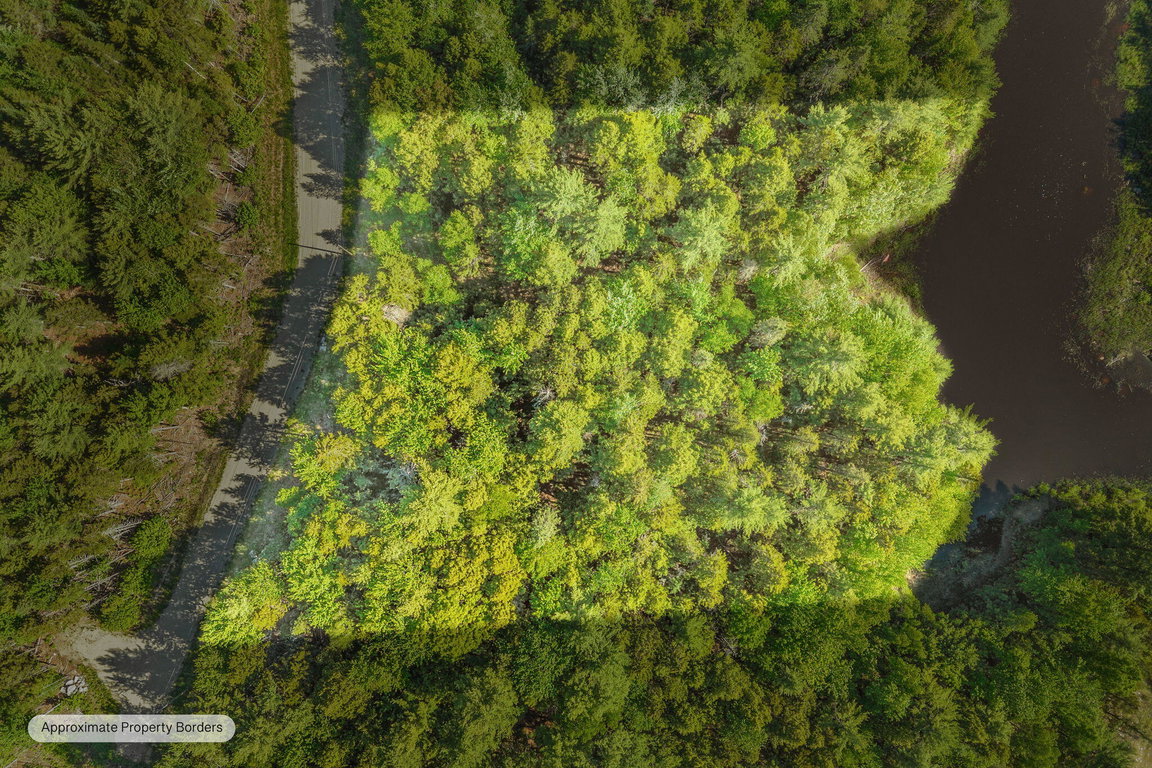 1-web-or-mls-lot-58-buford-drive