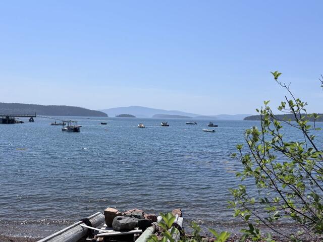 View of Cadillac across Frenchman Bay