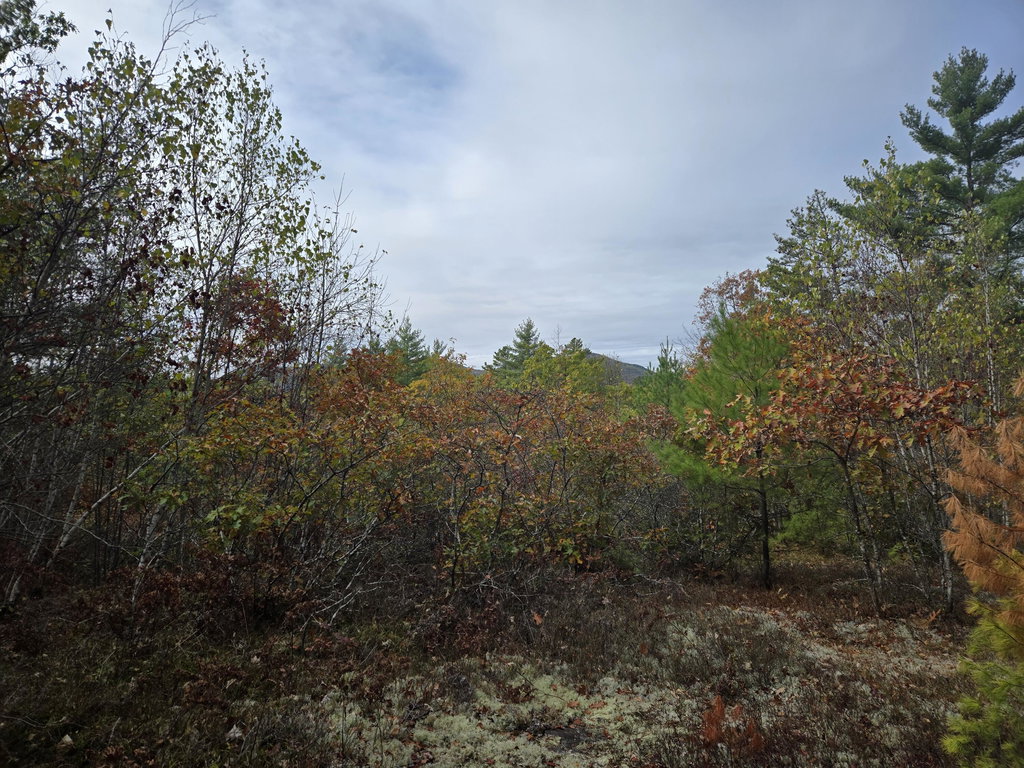133 Plantation Lane Brownfield