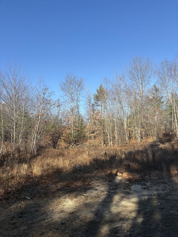 Lot 4 Baldwin Rd (Route 11)  Baldwin