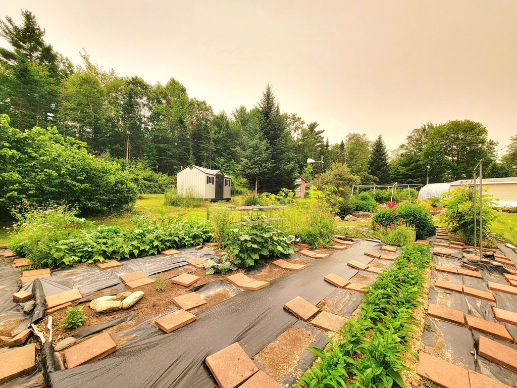 Extensive Gardens
