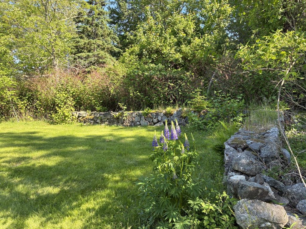 Stone wall on south and west side.