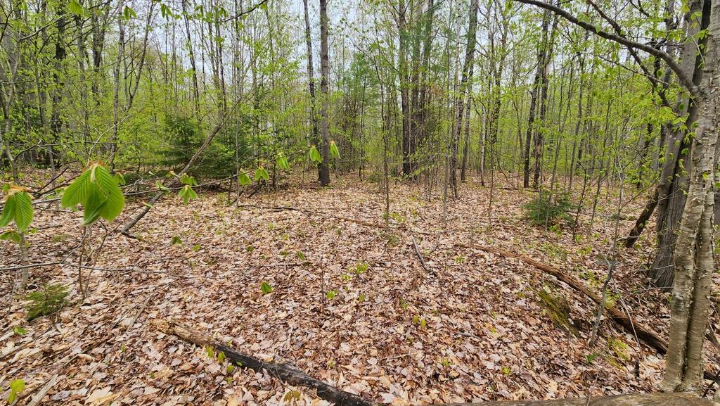 Lot 019 Olivewood Circle Wilton