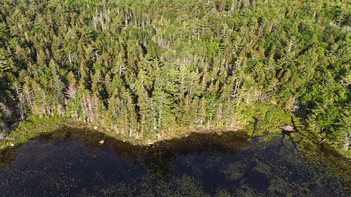 DJI_20250621070114_0024_D