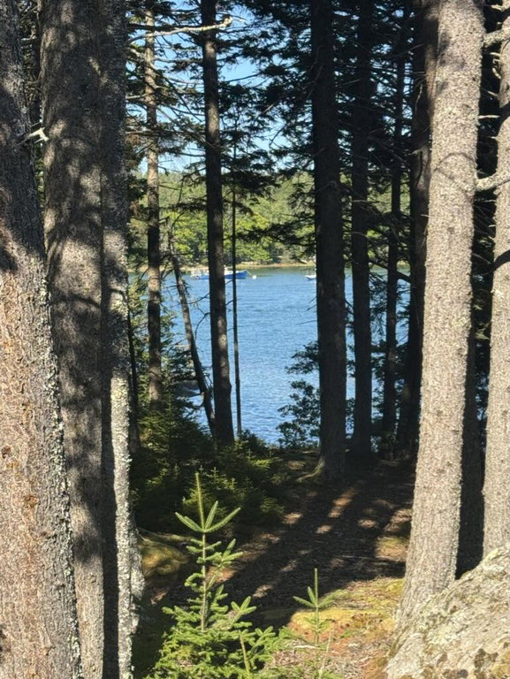 15 Picnic Point