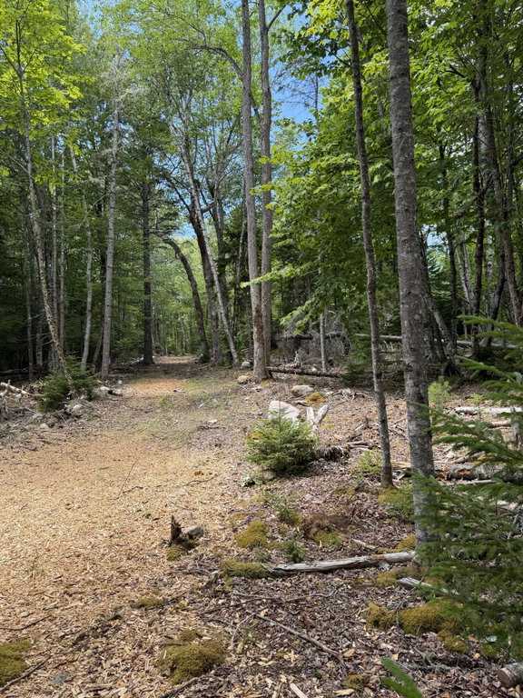 View of path