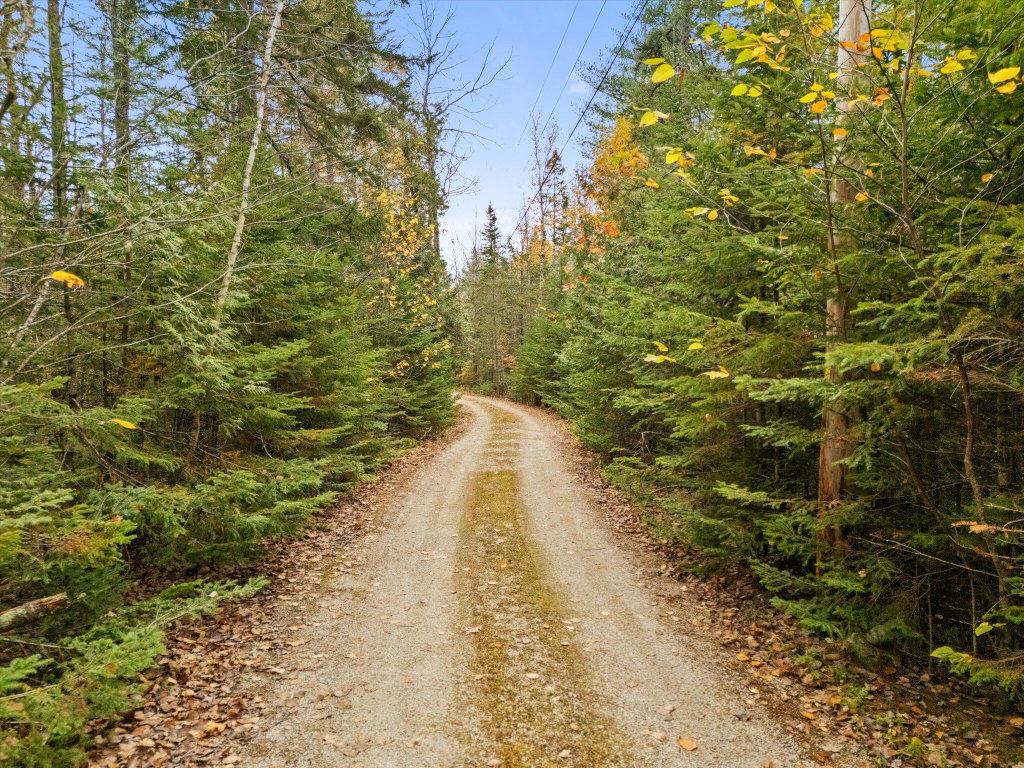 13-Beechland Rd Ellsworth Driveway