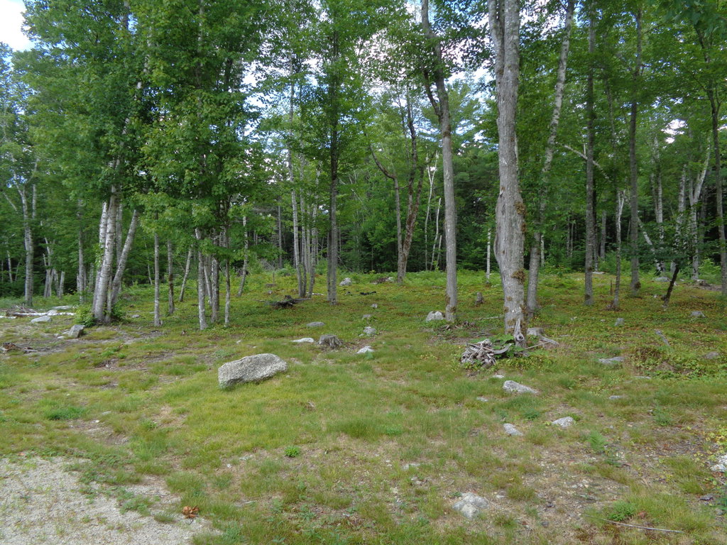 13 acres of land