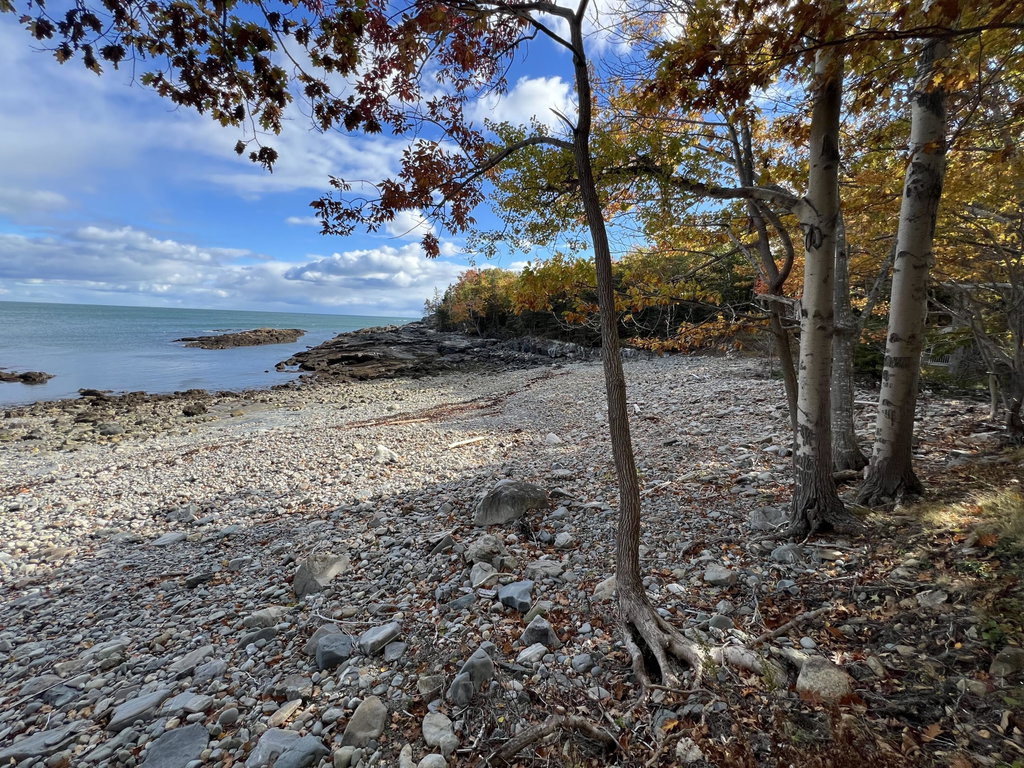 beach right