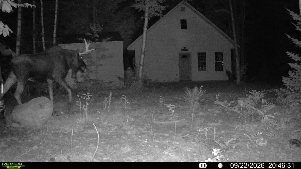 Off Route 192  Wesley