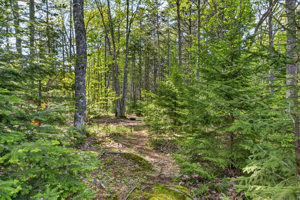 55-5 Hales Woods Rd.-1605