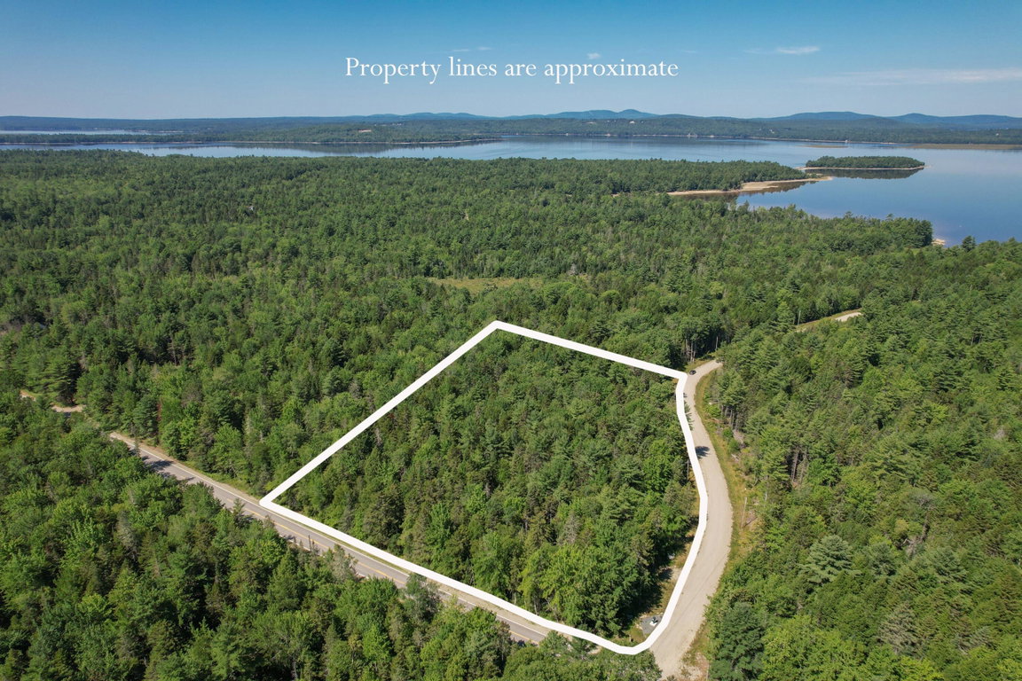 Property lines 2