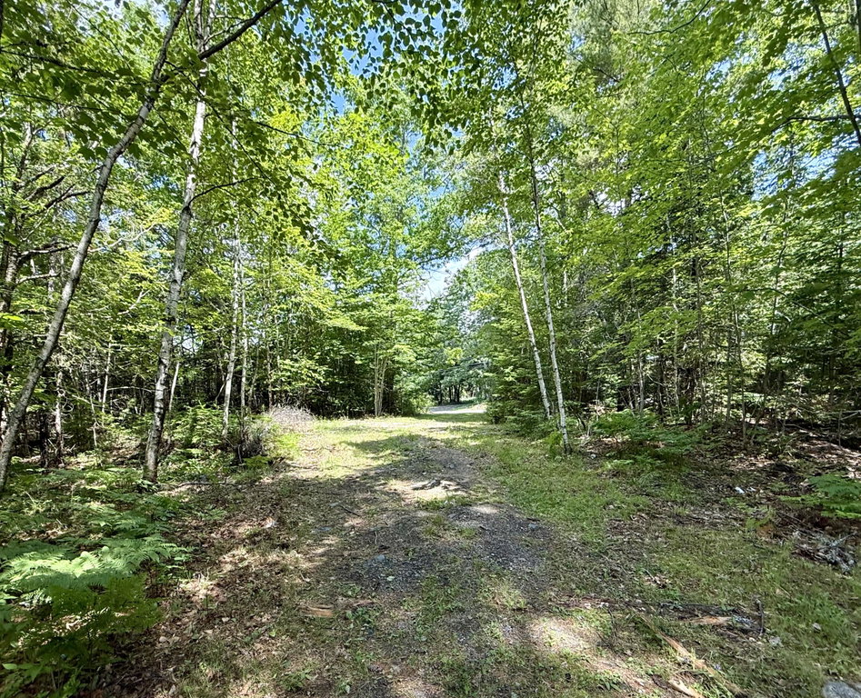 481 Airline Road Baileyville