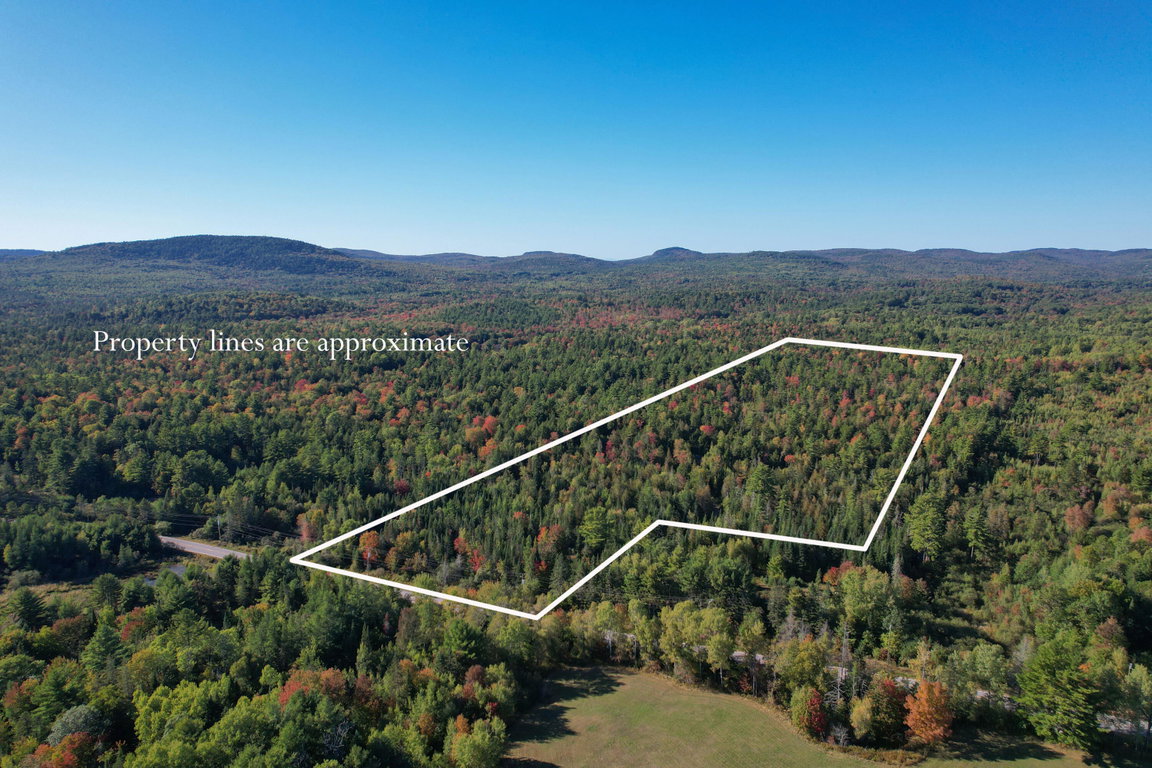 Property Lines 1