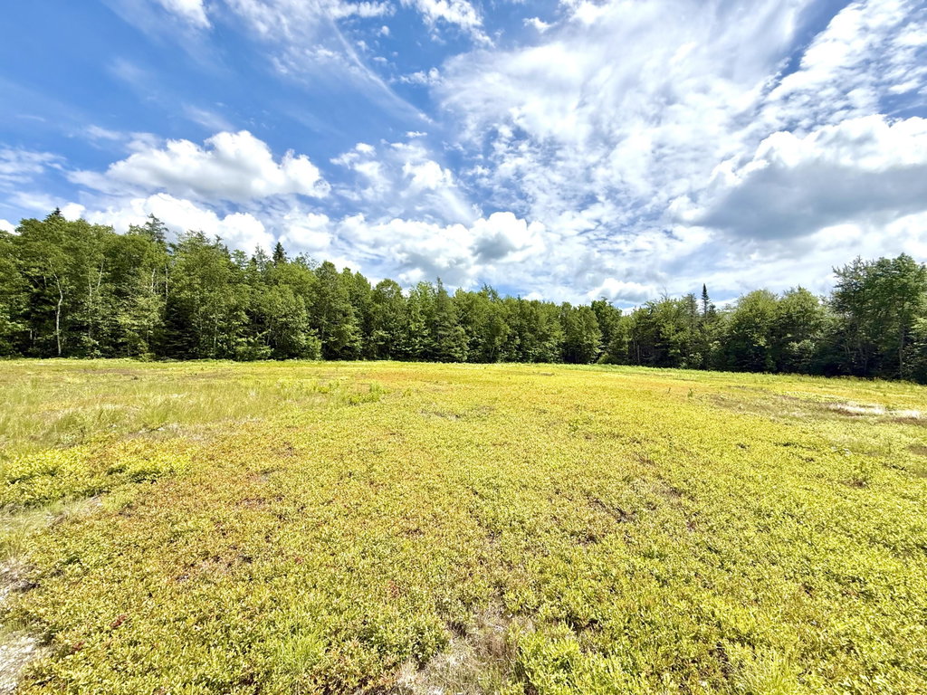 Lot 9