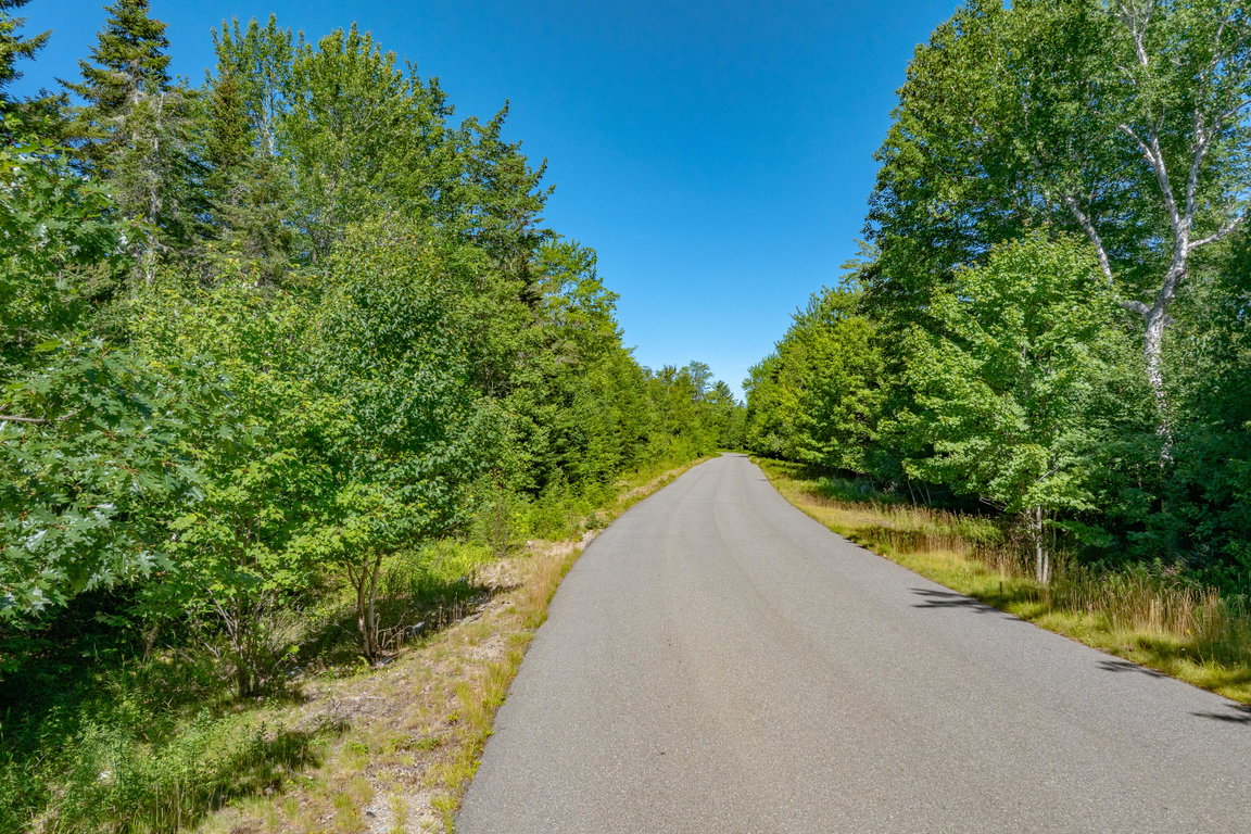 02-Lot 12_ Merganser Drive-DTP