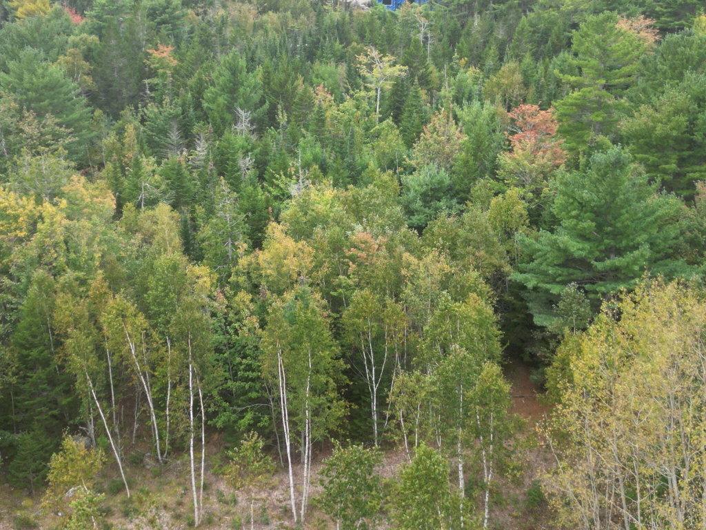 DJI_0020