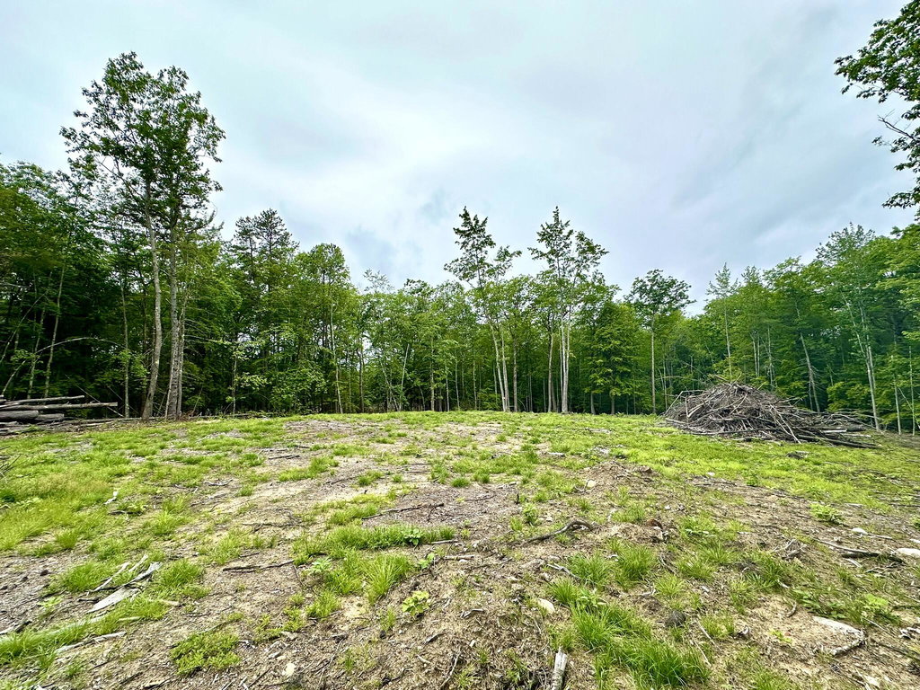 Lot 35A Norton Ridge Road Shapleigh