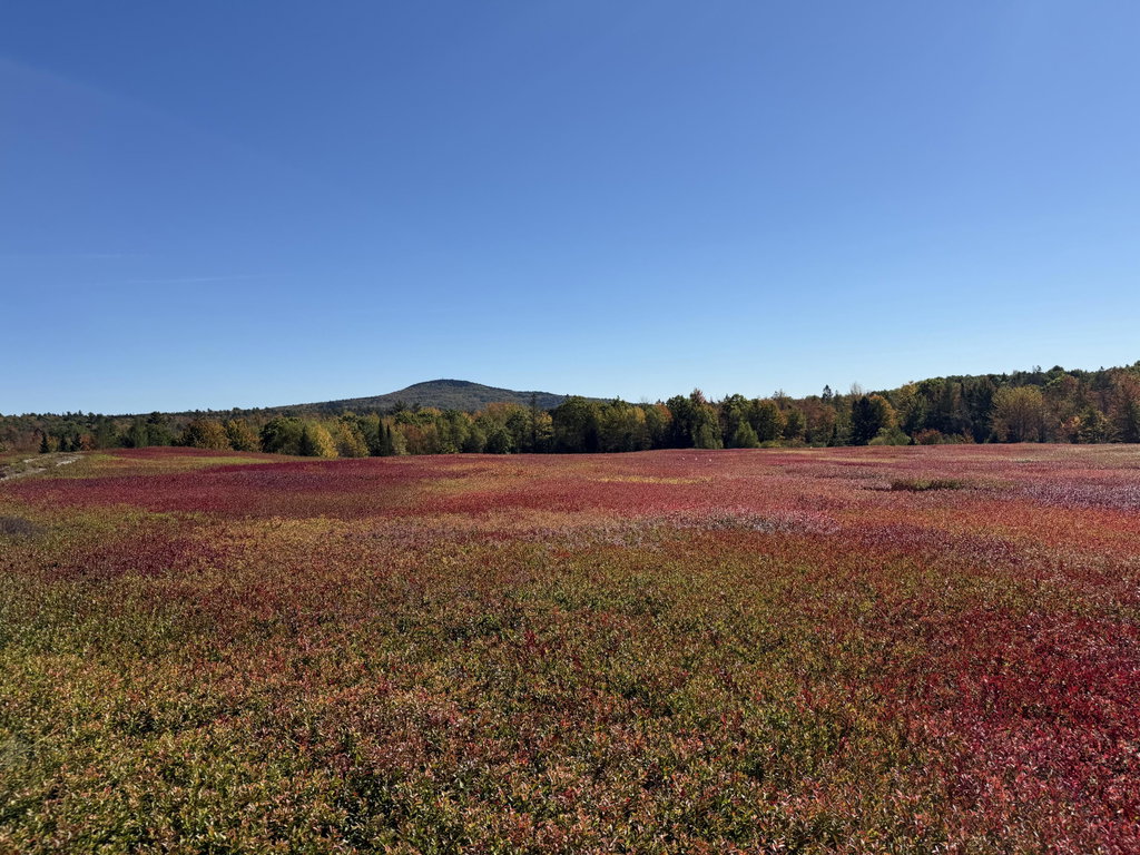 MAP 31 LOT 29