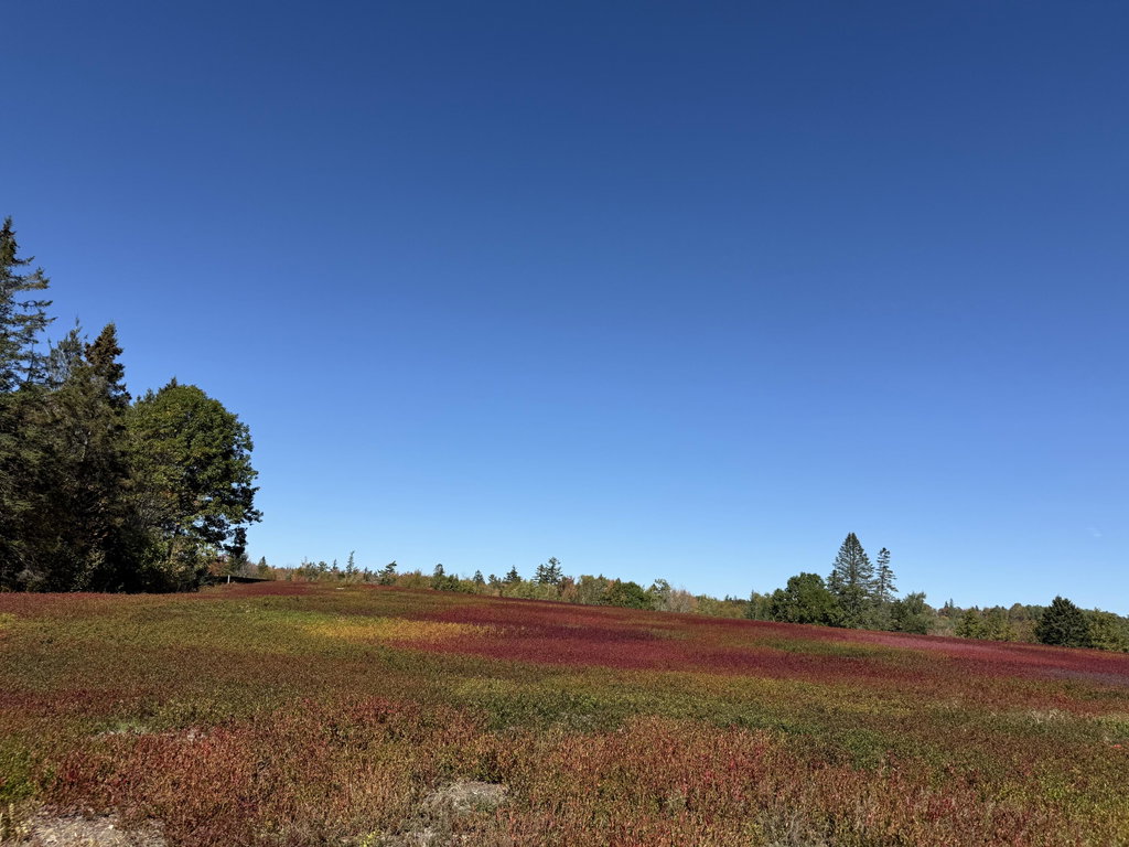 MAP 31 LOT 29