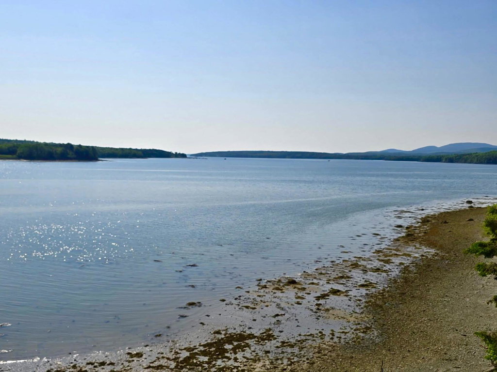 views of MDI mountains