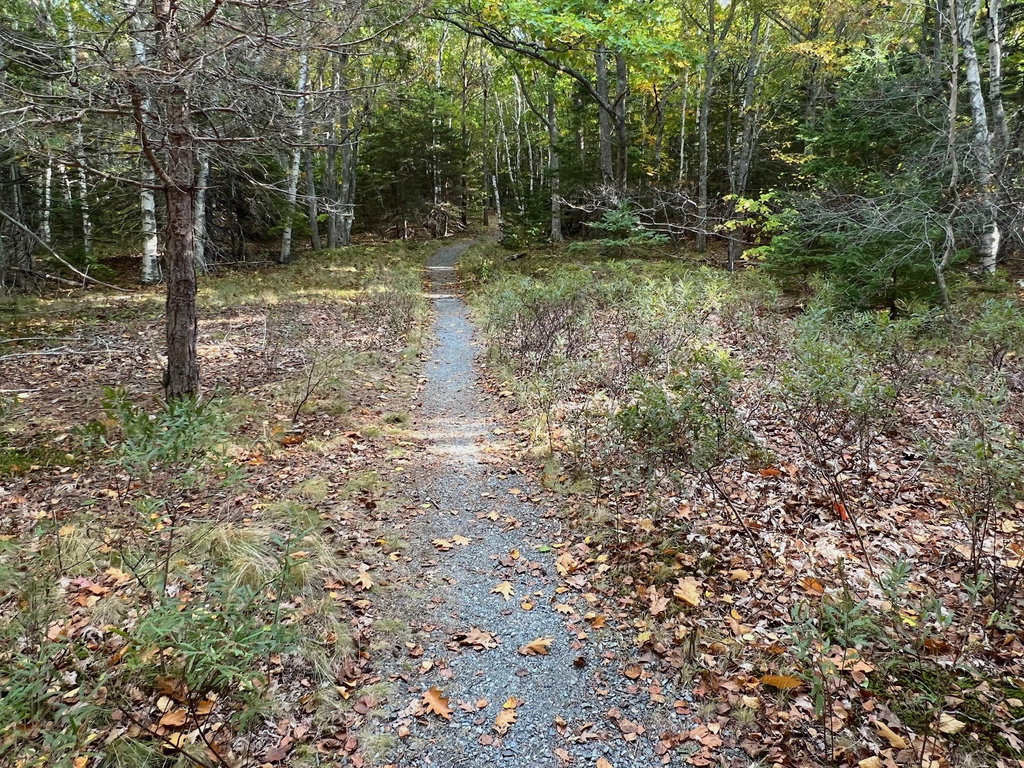 trail